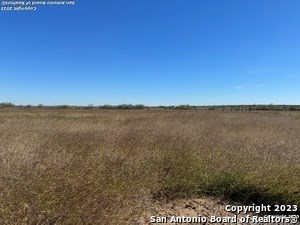 photo for a land for sale property for 42285-83836-Pleasanton-Texas