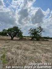 photo for a land for sale property for 42285-77631-Pleasanton-Texas