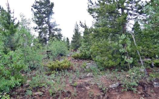 photo for a land for sale property for 05079-11598-Red Feather Lakes-Colorado