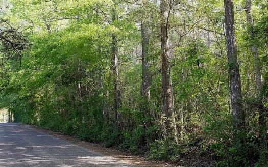 photo for a land for sale property for 23042-41485-Ruth-Mississippi