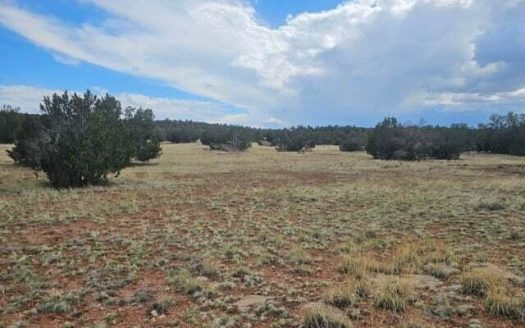 photo for a land for sale property for 02036-24084-Seligman-Arizona