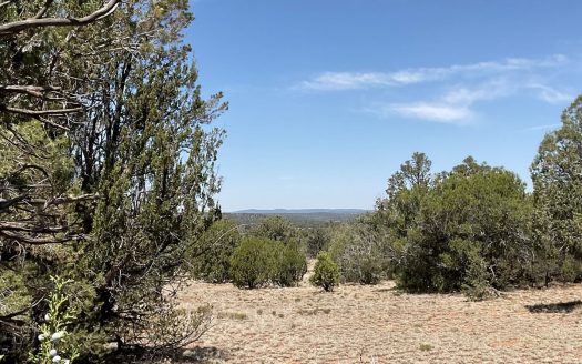 photo for a land for sale property for 02036-24109-Seligman-Arizona