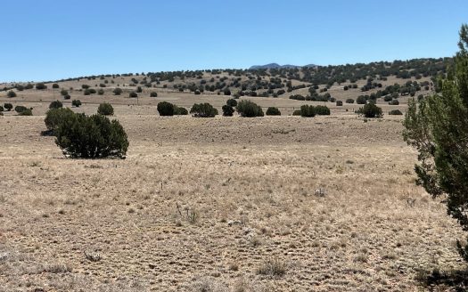 photo for a land for sale property for 02036-24110-Seligman-Arizona