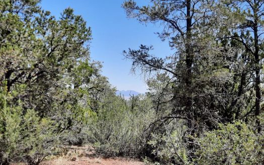 photo for a land for sale property for 02036-24134-Seligman-Arizona