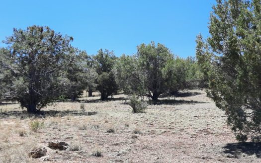 photo for a land for sale property for 02036-24136-Seligman-Arizona