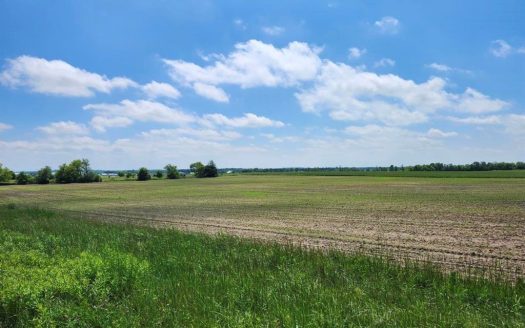 photo for a land for sale property for 48042-23008-Waupaca-Wisconsin