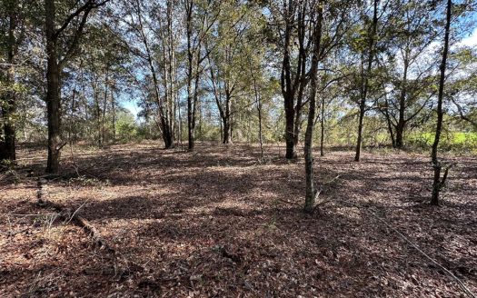 photo for a land for sale property for 09090-21704-Bell-Florida