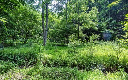 photo for a land for sale property for 45093-94407-Bristol-Virginia