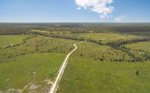 photo for a land for sale property for 23042-41652-Independence-Louisiana