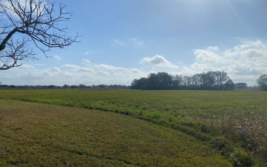 photo for a land for sale property for 17028-10011-Lafayette-Louisiana