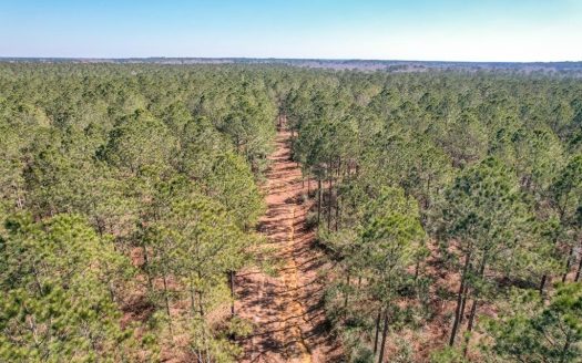 photo for a land for sale property for 23042-41748-Magnolia-Mississippi