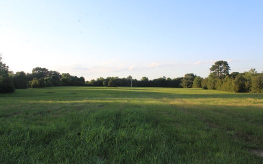 photo for a land for sale property for 03086-02387-Mountain View-Arkansas