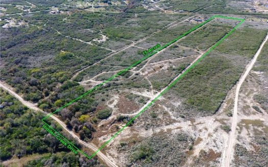 photo for a land for sale property for 42281-40657-Orange Grove-Texas