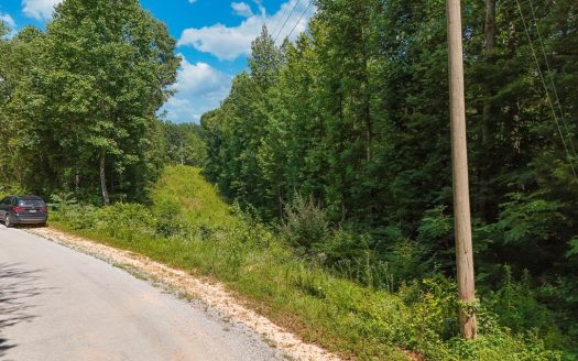photo for a land for sale property for 41053-55640-Parsons-Tennessee