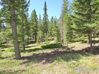 photo for a land for sale property for 05079-11610-Red Feather Lakes-Colorado