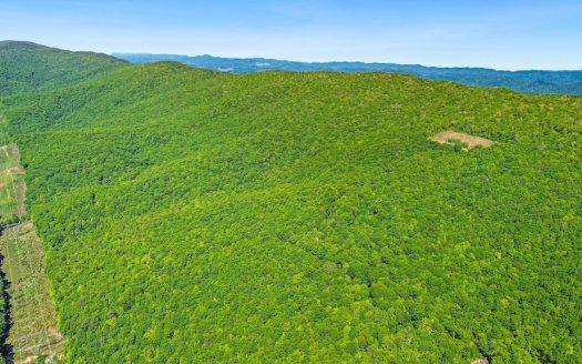 photo for a land for sale property for 45093-94501-Tazewell-Virginia