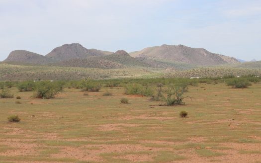 photo for a land for sale property for 02034-17074-Willcox-Arizona