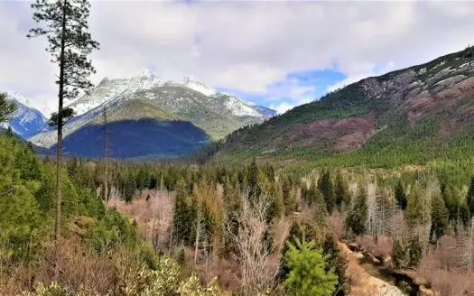 Off Grid Sustainable Home