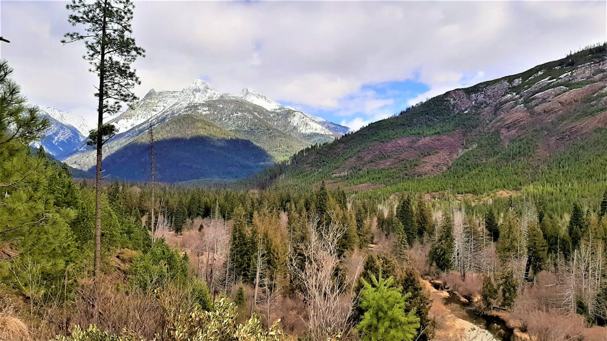 Off Grid Sustainable Home