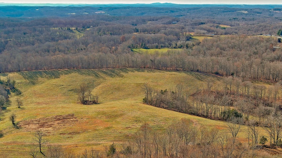 Pending Land in Burkesville, Ky – Clinton County