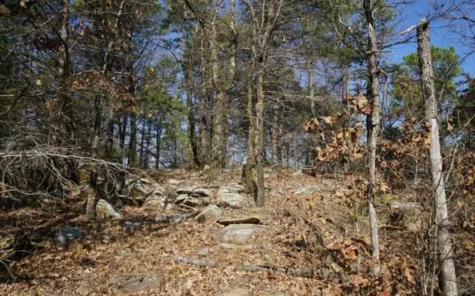 Mountain View Cabin Site and Investment Property