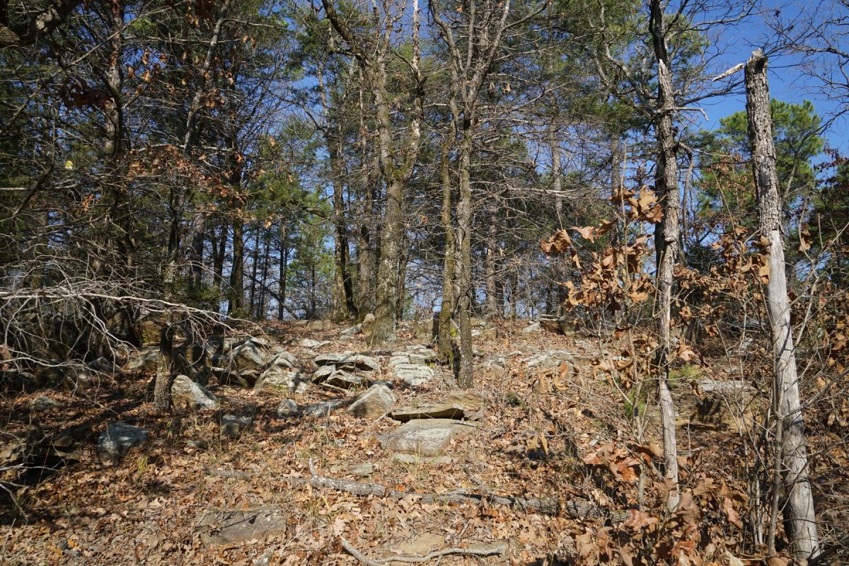 Mountain View Cabin Site and Investment Property