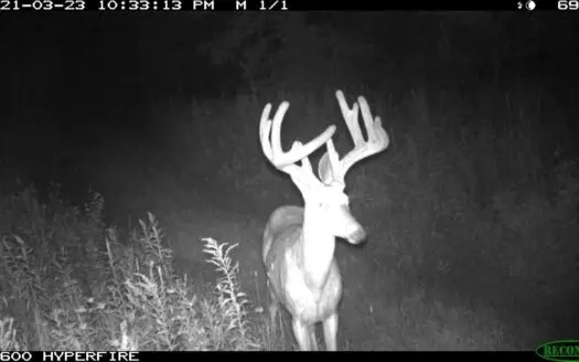 307 Acre Sportsmans Paradise in Waupaca County Wi