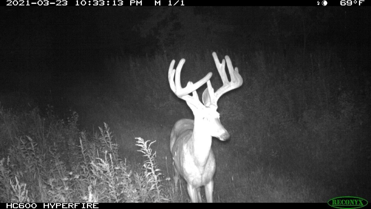 307 Acre Sportsmans Paradise in Waupaca County Wi