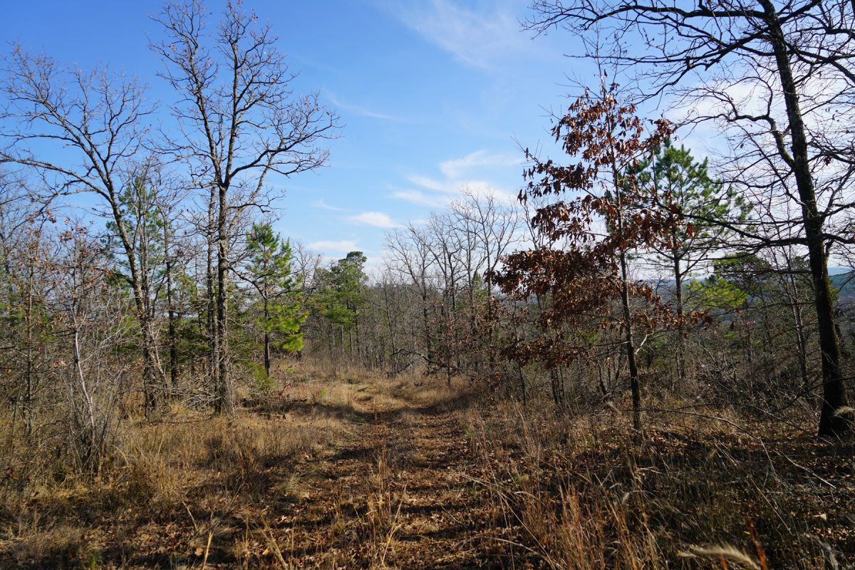 Southeastern Oklahoma Cabin Site Near National Forest
