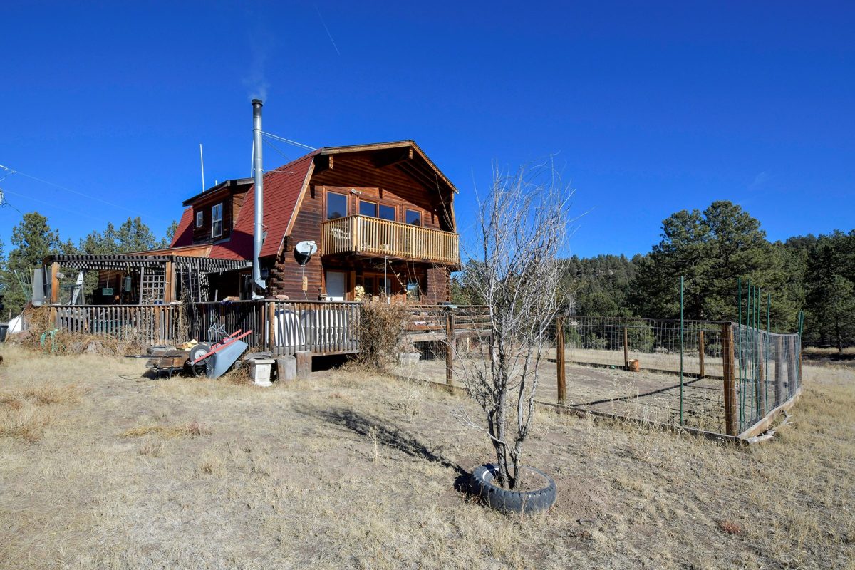 Central Colorado, Teller & Park County Log Cabin for Sale