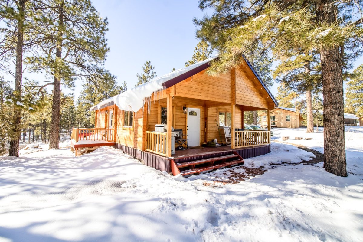 Private Cabin Home for Sale in Mancos, Colorado!