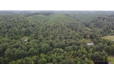 Hunting Land with Acreage for Sale in Lewis County, Tn