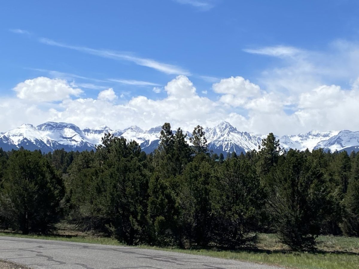 Private Mountain Lot for Sale, Log Hill, Ridgway, Colorado