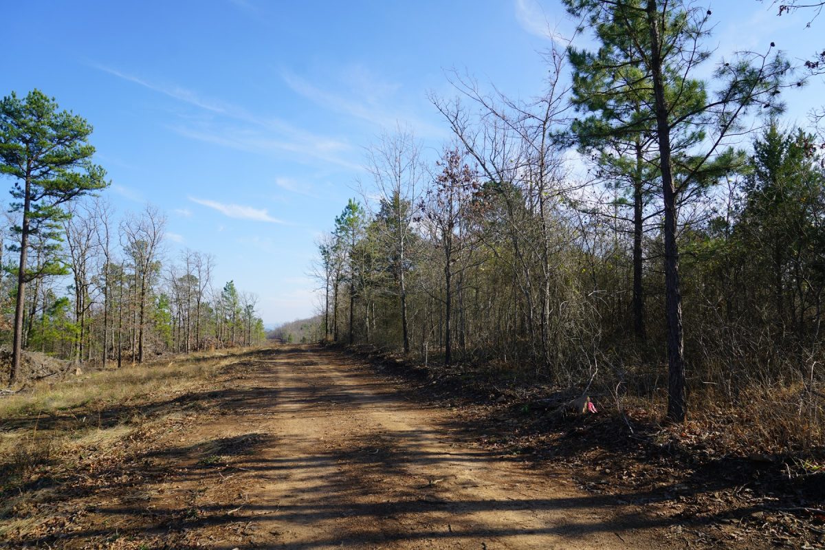 Southeastern Oklahoma Cabin Site Near National Forest