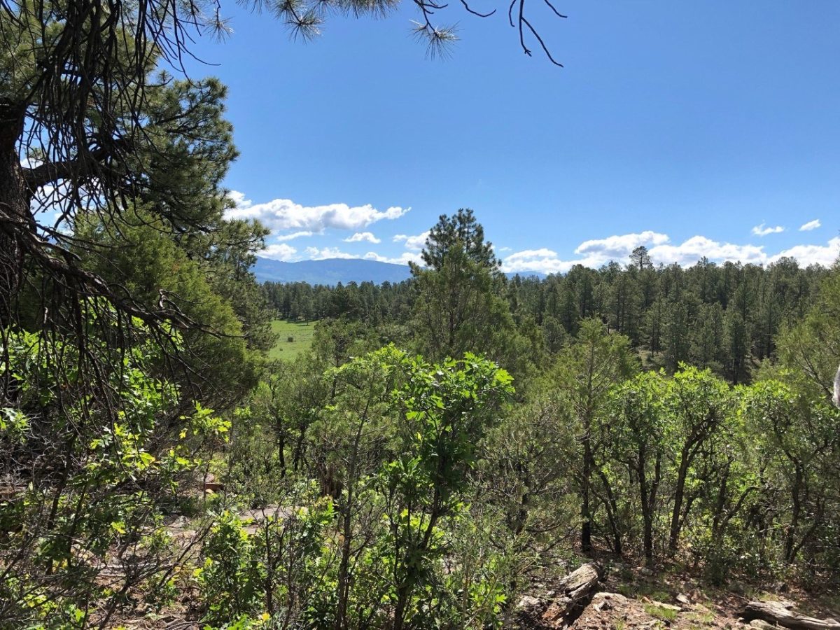 Golf Course Lot for Sale, Ridgway Co, Skiing, Fishing,biking