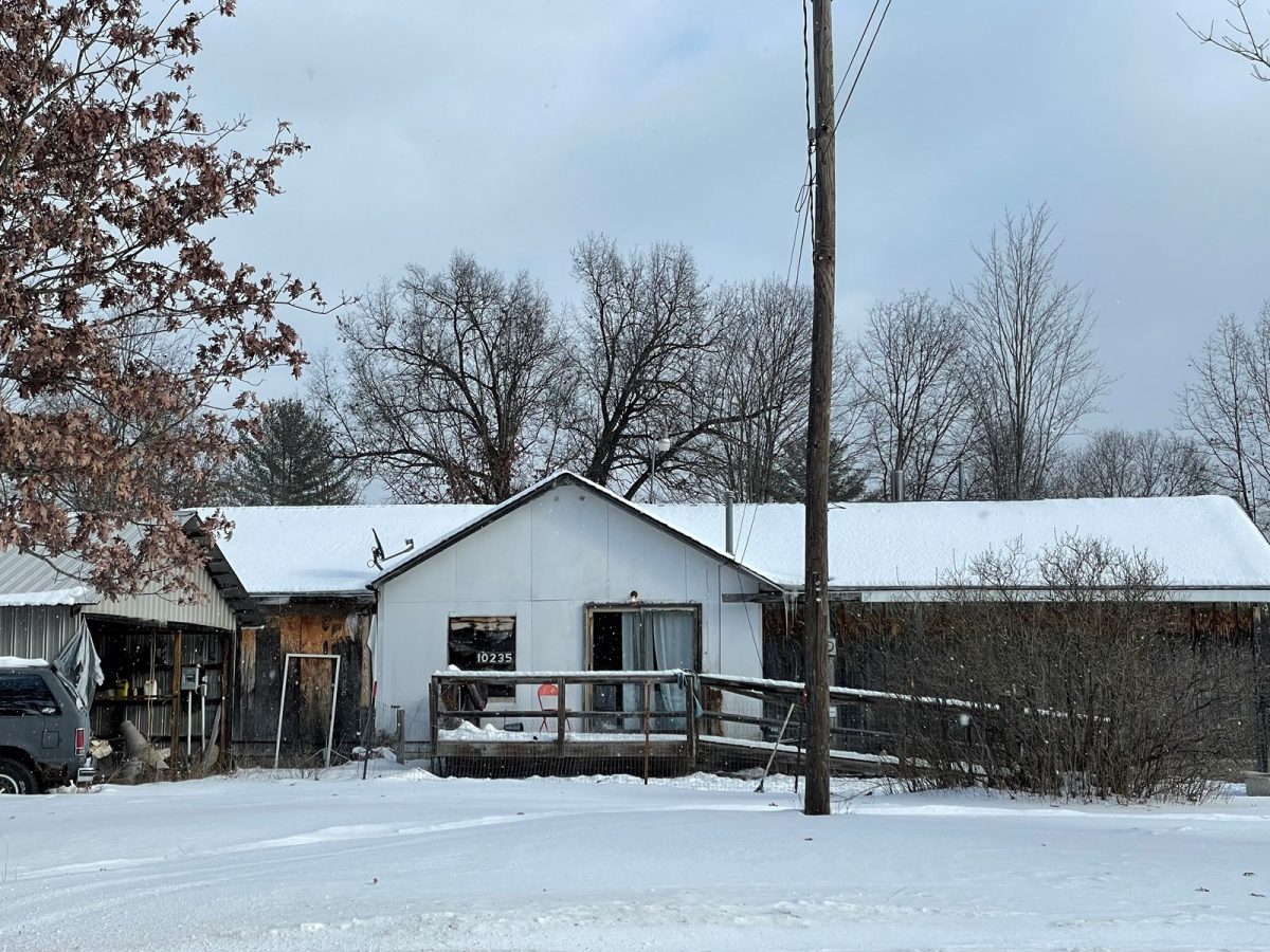 Northern Mi Acreage with Cabin for Sale Atlanta Mi