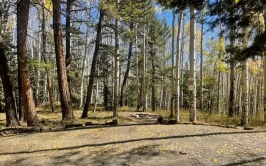 Mountain Rv Lot for Sale in Western Colorado
