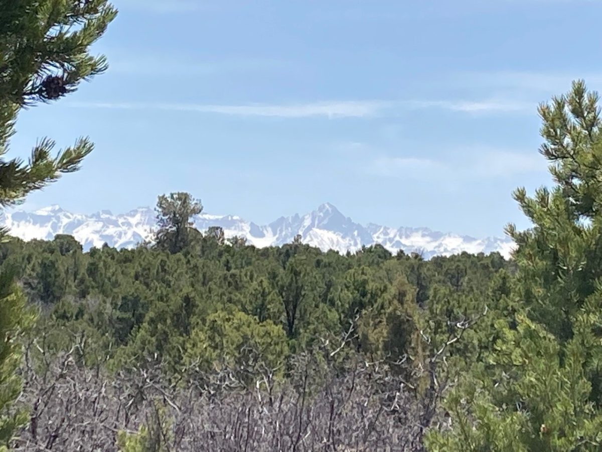 Lot for Sale, Easy Access Town, Montrose, Colorado