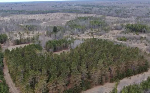 Adams County 80 Acre Recreational and Hunting Getaway