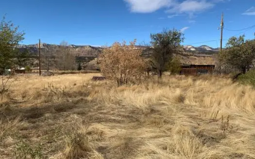 Prime Building Lot with Well for Sale in Colorado