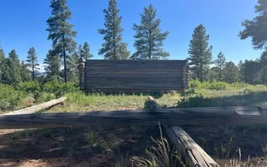 Quiet Land with Partial Log Home for Sale in Mancos, Co!