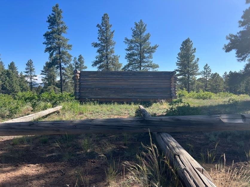 Quiet Land with Partial Log Home for Sale in Mancos, Co!