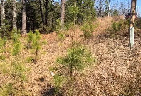 Great Getaway Location in Calico Rock, Arkansas