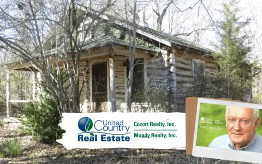 Log Cabin Fixer Upper for Sale in Williford, Ar