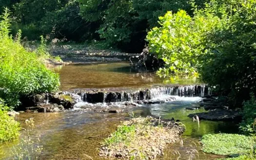Tennessee Fixer-upper Log Cabin with 16 Acres and a Creek!