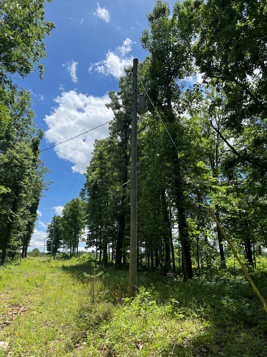 Wooded Acres for Sale in Van Buren County Arkansas