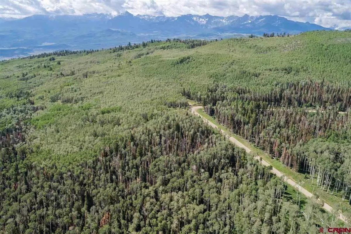 Land for Sale, Iron Springs/horsefly, Placerville, Colorado