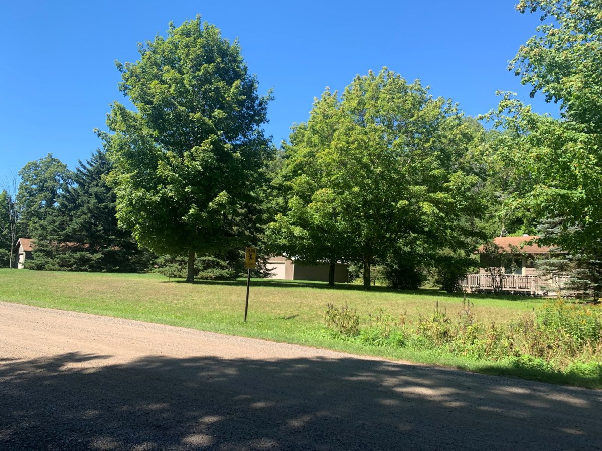 Cabin Near Island Lake Northome Mn for Sale by Auction