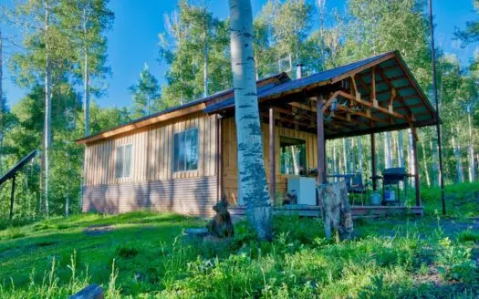 Colorado Mountain Cabin on 35 Acres in Montrose