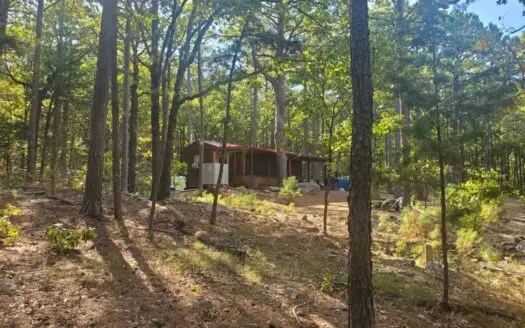 Cabin & 10 Acres in Kiamichi Wilderness for Sale